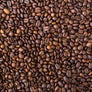 Tanzania Mutwari