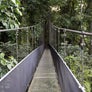 Costa Rican Diamond Mountain