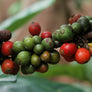 World Traveler 6 Bean Espresso